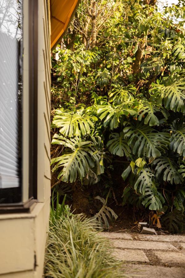 Gamai Monteverde Tiny House Eksteriør bilde